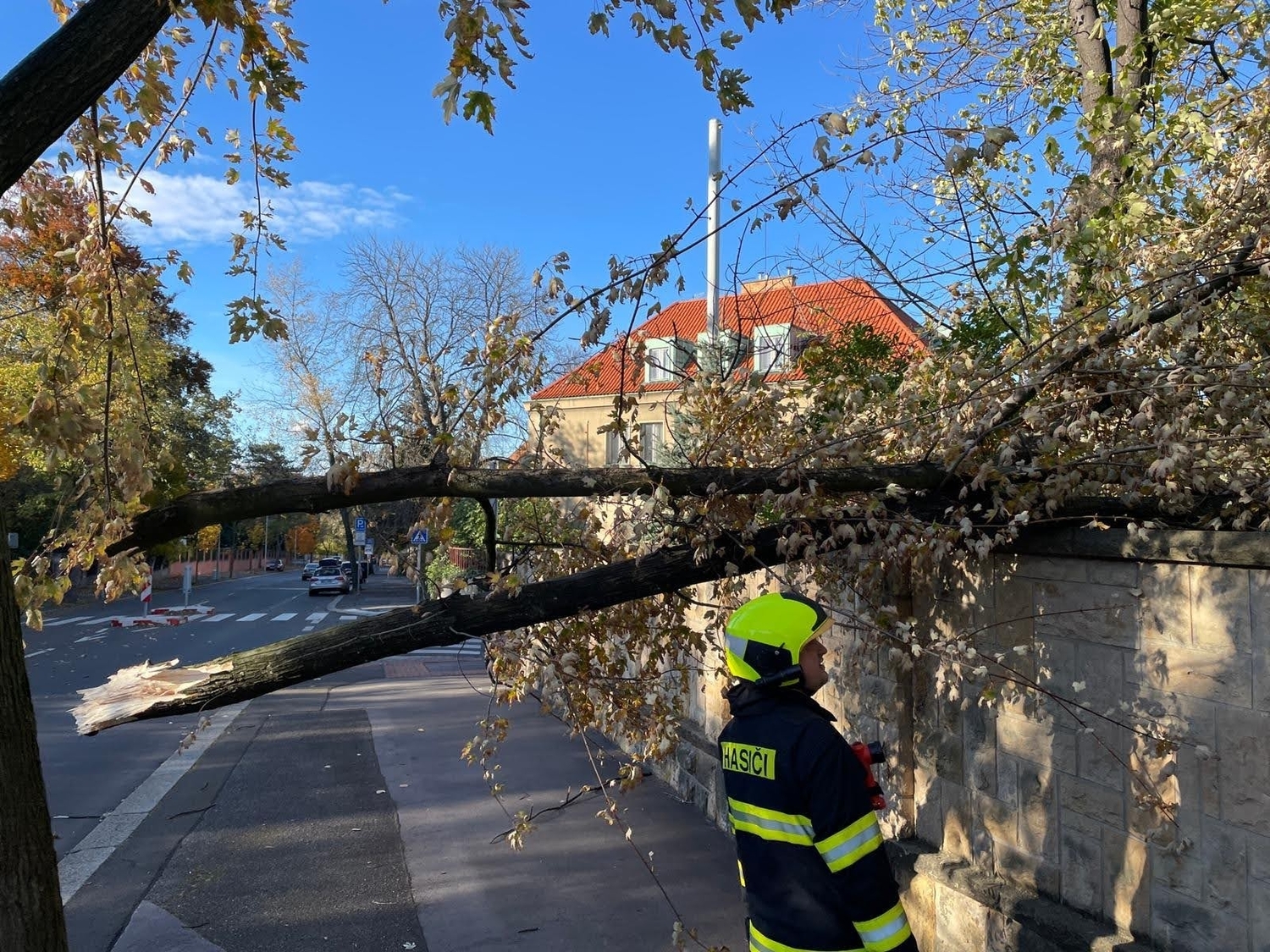 Silný vítr lámal stromy (Praha 21. 10. 2021).
