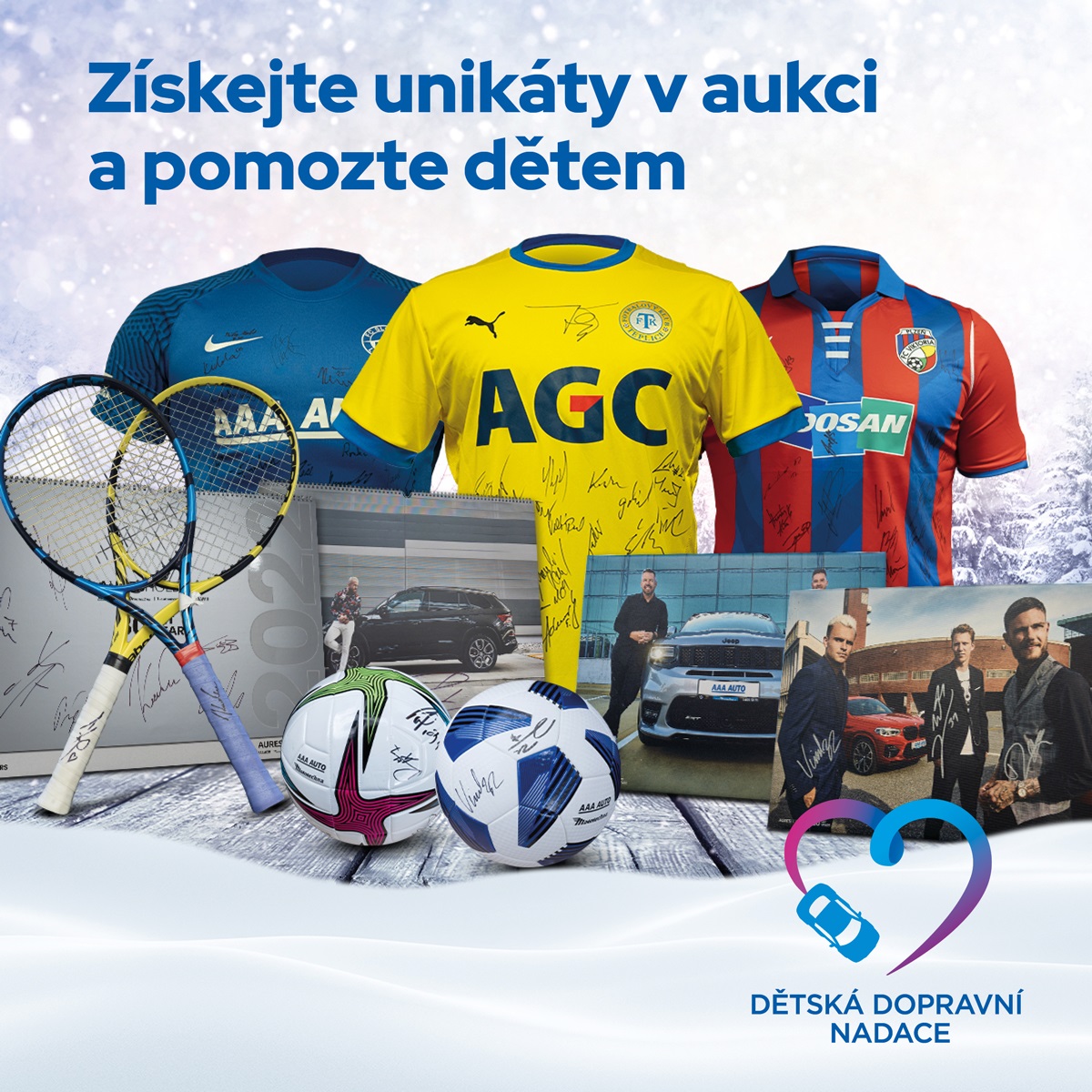 Aukce ve prospěch DDN.