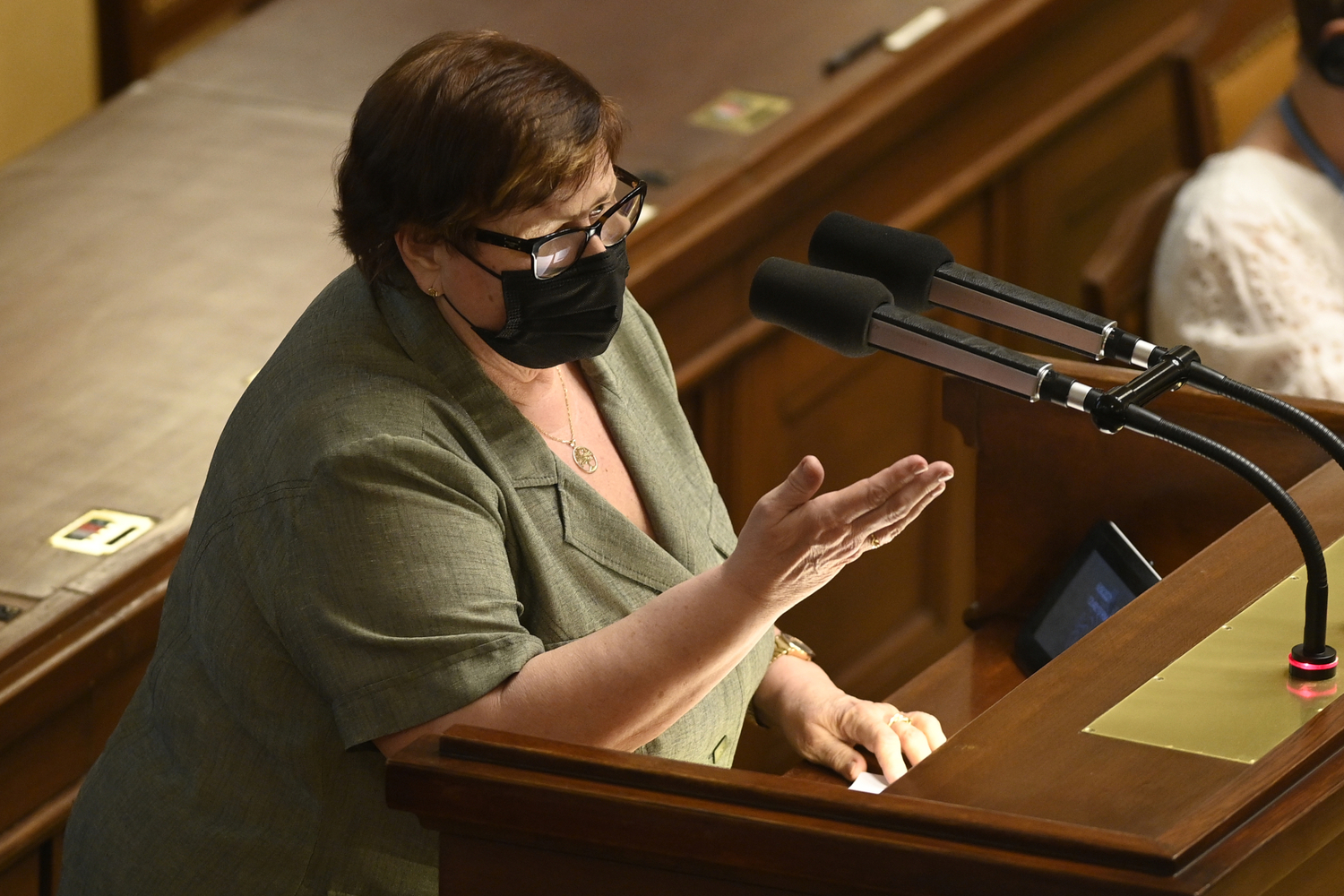 Končící ministryně spravedlnosti Marie Benešová (za ANO).