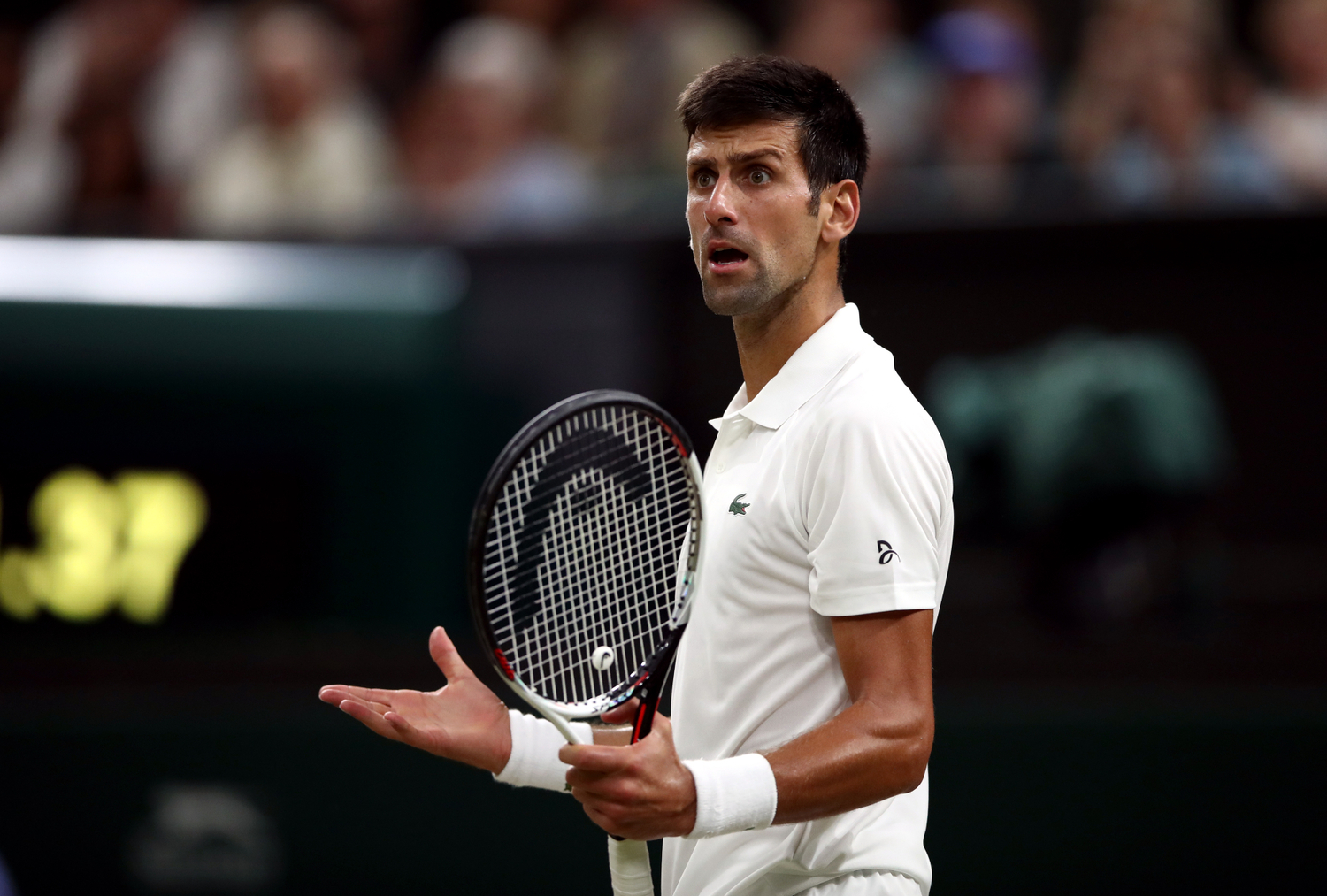Světová tenisová jednička Novak Djokovič.