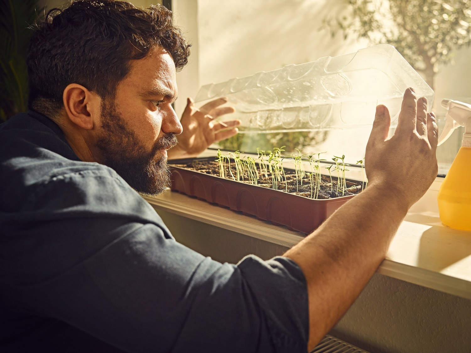 Pěstování bylinek.