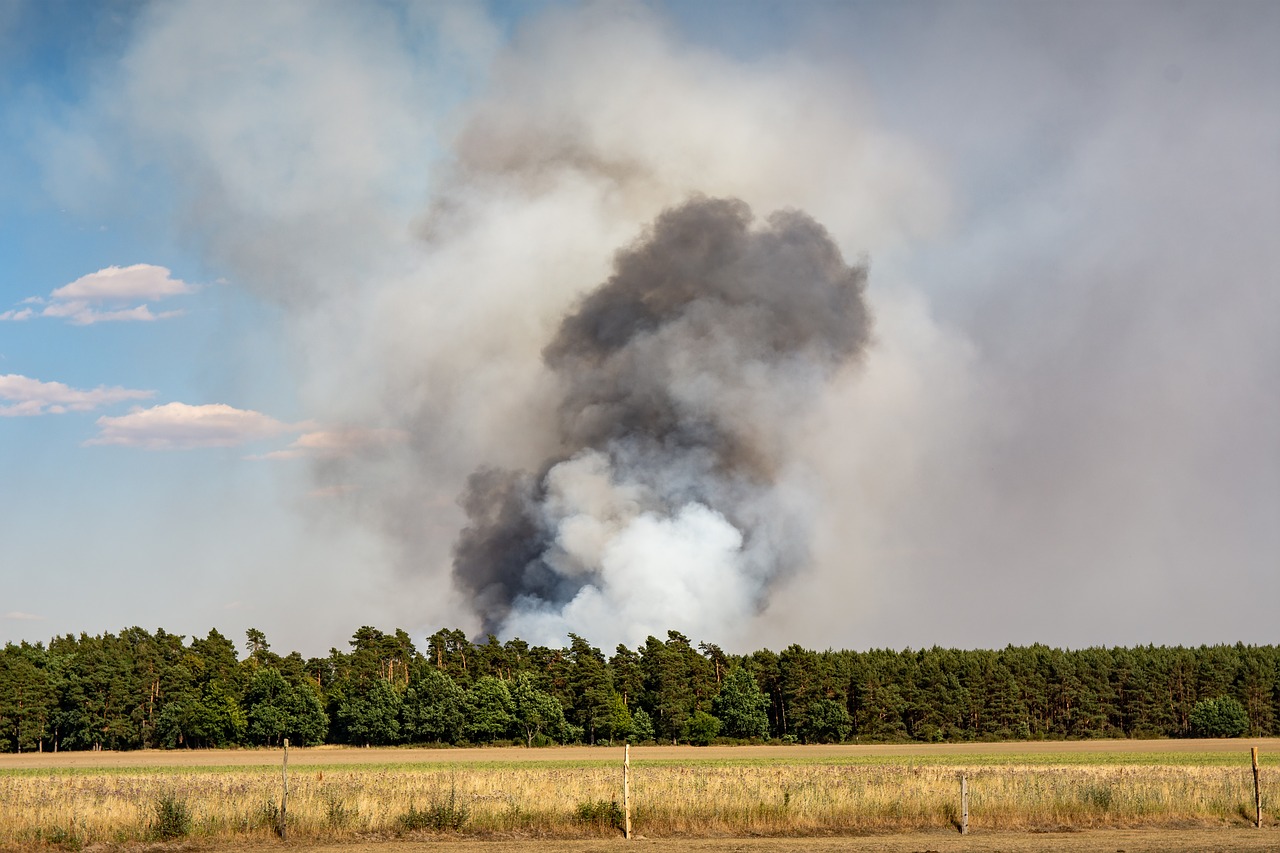 ilustrační foto.