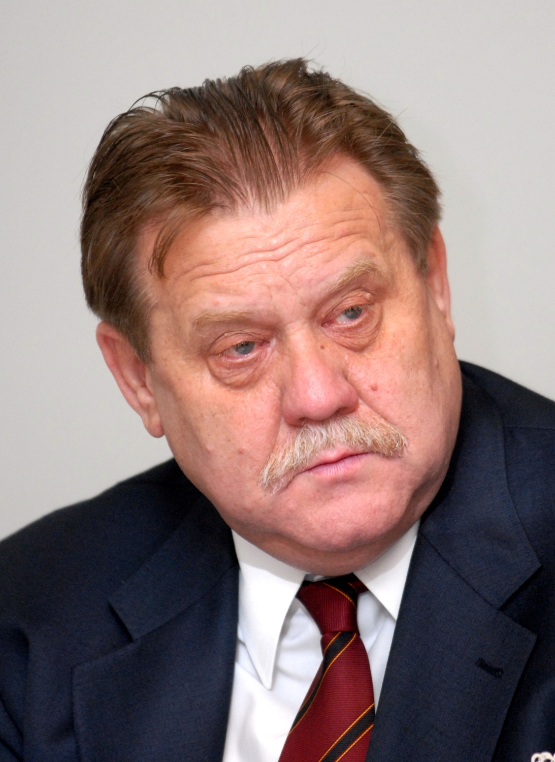 Novým ústavním soudcem by se mohl stát advokát Petr Poledník (na snímku z 9. března 2009). Žádost o souhlas s jeho jmenováním doručila prezidentská kancelář do Senátu 31. března 2022.