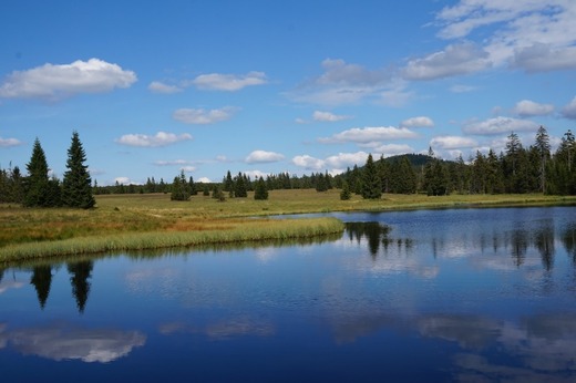 Mrtvý rybník.