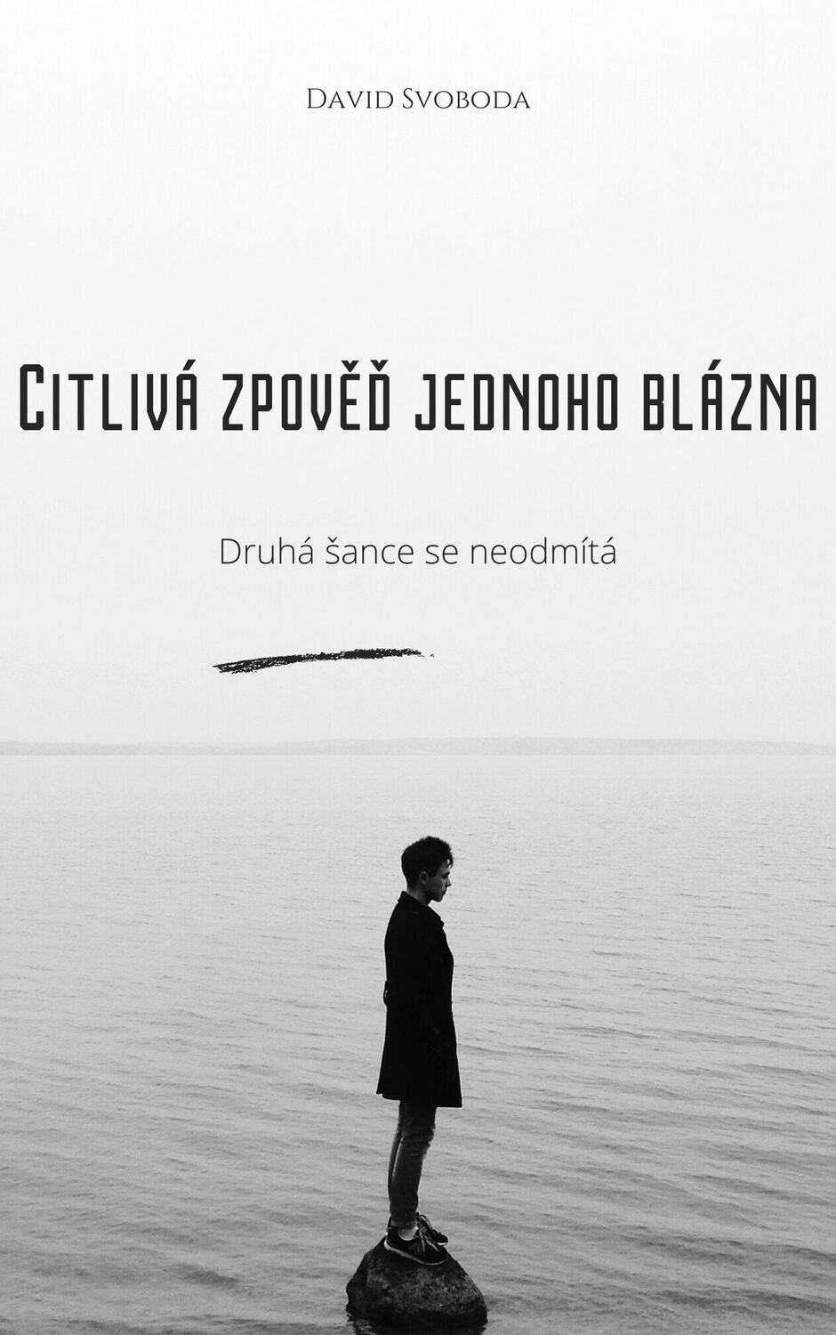 Kniha Citlivá zpověď jednoho blázna.