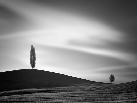 Pofukující vánek (foto Tomáš Tisoň).