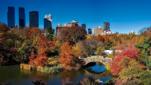 Central Park v New Yorku.