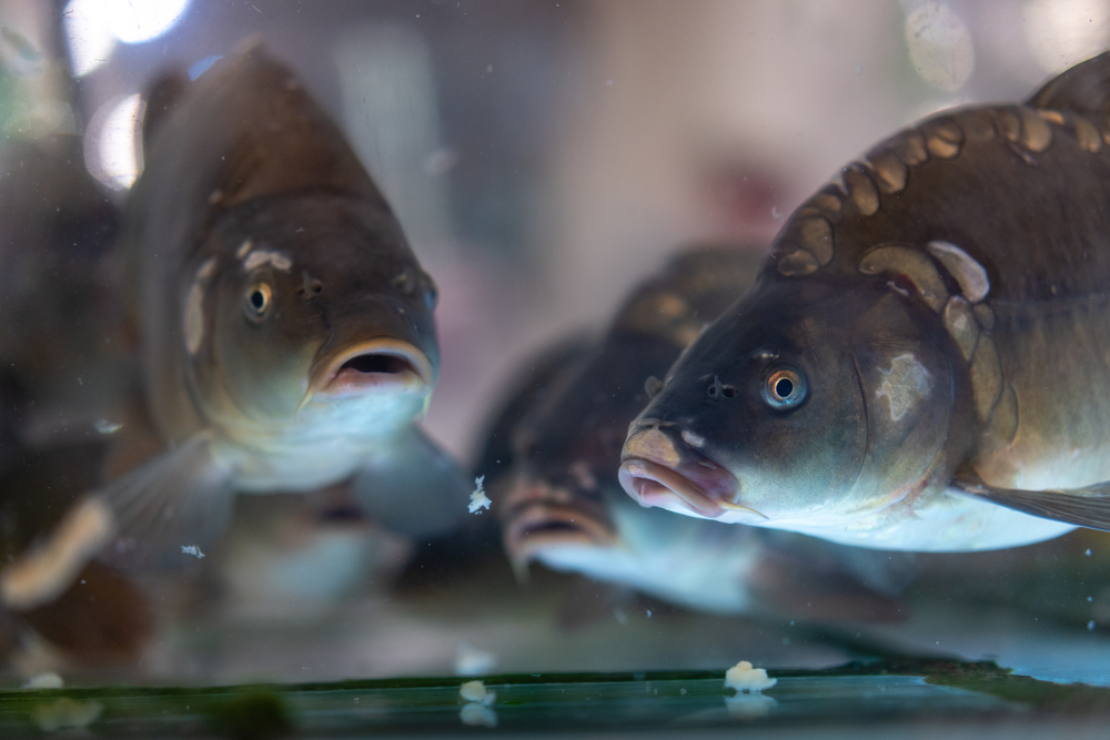 Ilustrační foto. Ilustrační foto.