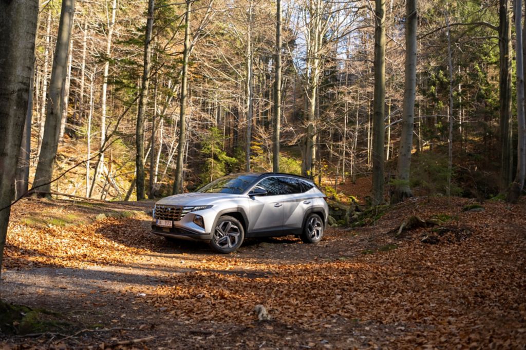 Hyundai Tucson.