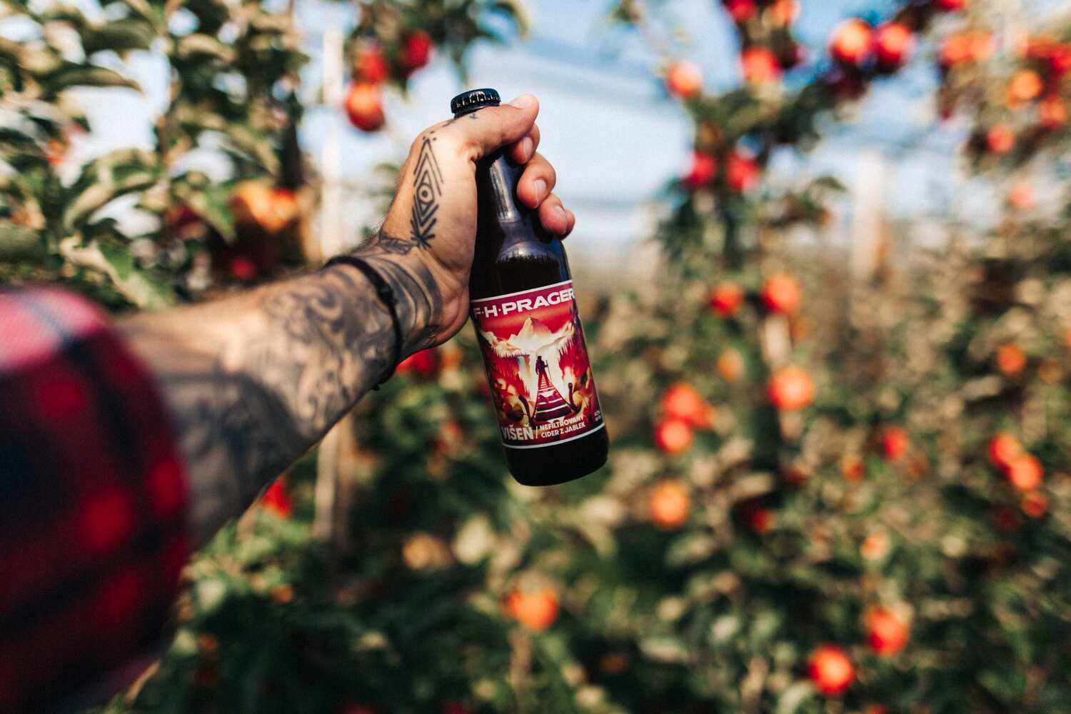5 důvodů, proč pít v létě cider