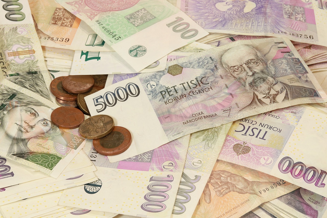 Česká koruna je těžce podhodnocená
