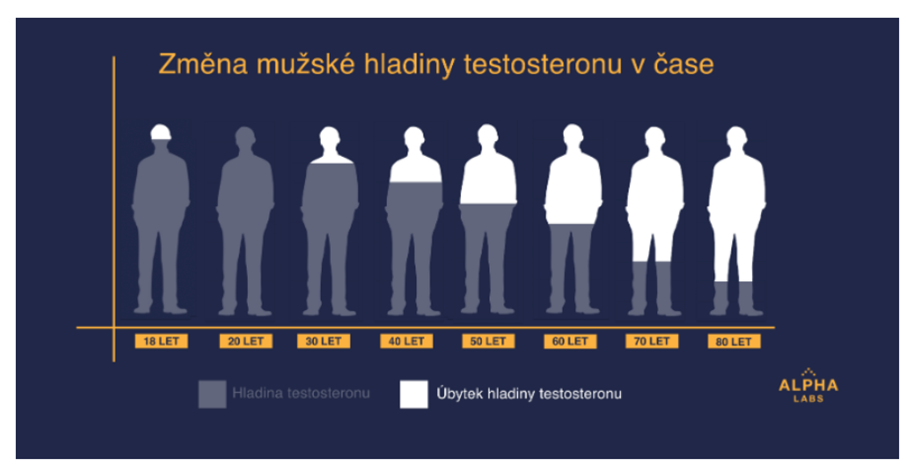 Hladina testosteronu – jak se mění s věkem mužů, jak zabránit jejímu nepřirozenému poklesu?