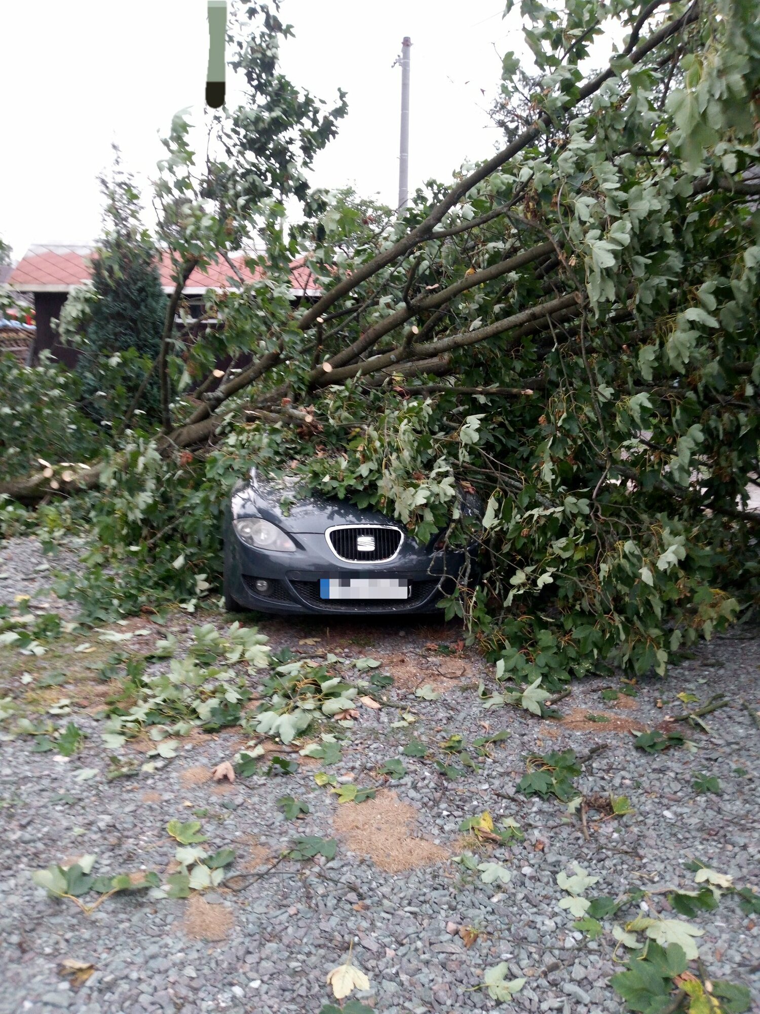 Vítr v noci v Královéhradeckém kraji lámal stromy, bez elektřiny 1500 domácností