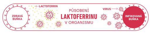 I Vaše dítě je často nemocné? Nejlepší způsob jak posílit imunitu dětí odhalen