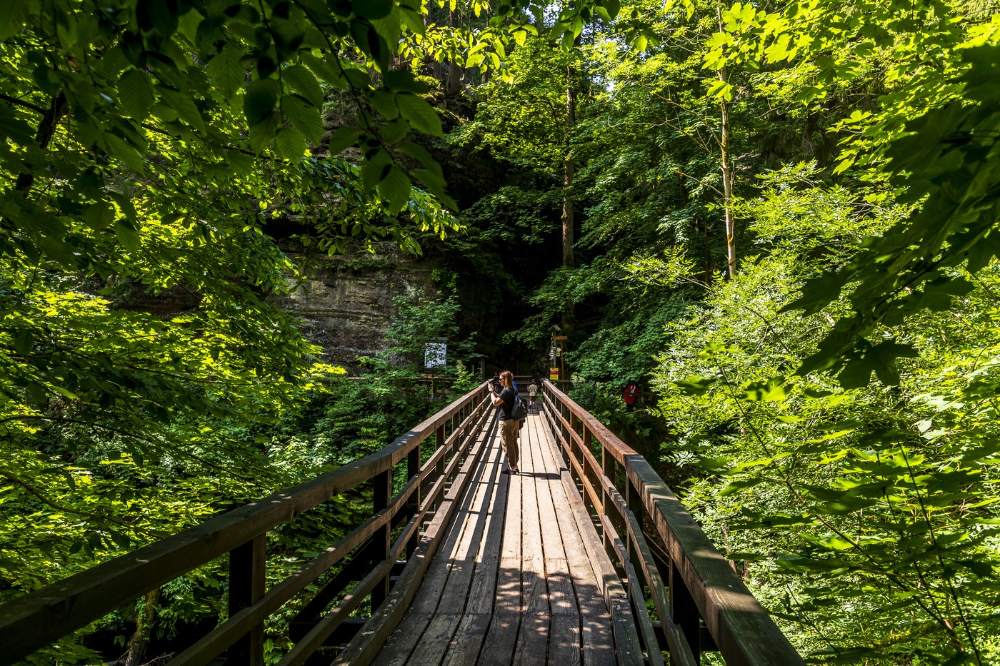 Strážci a odborníci připravili komentované vycházky po různých místech NP České Švýcarsko