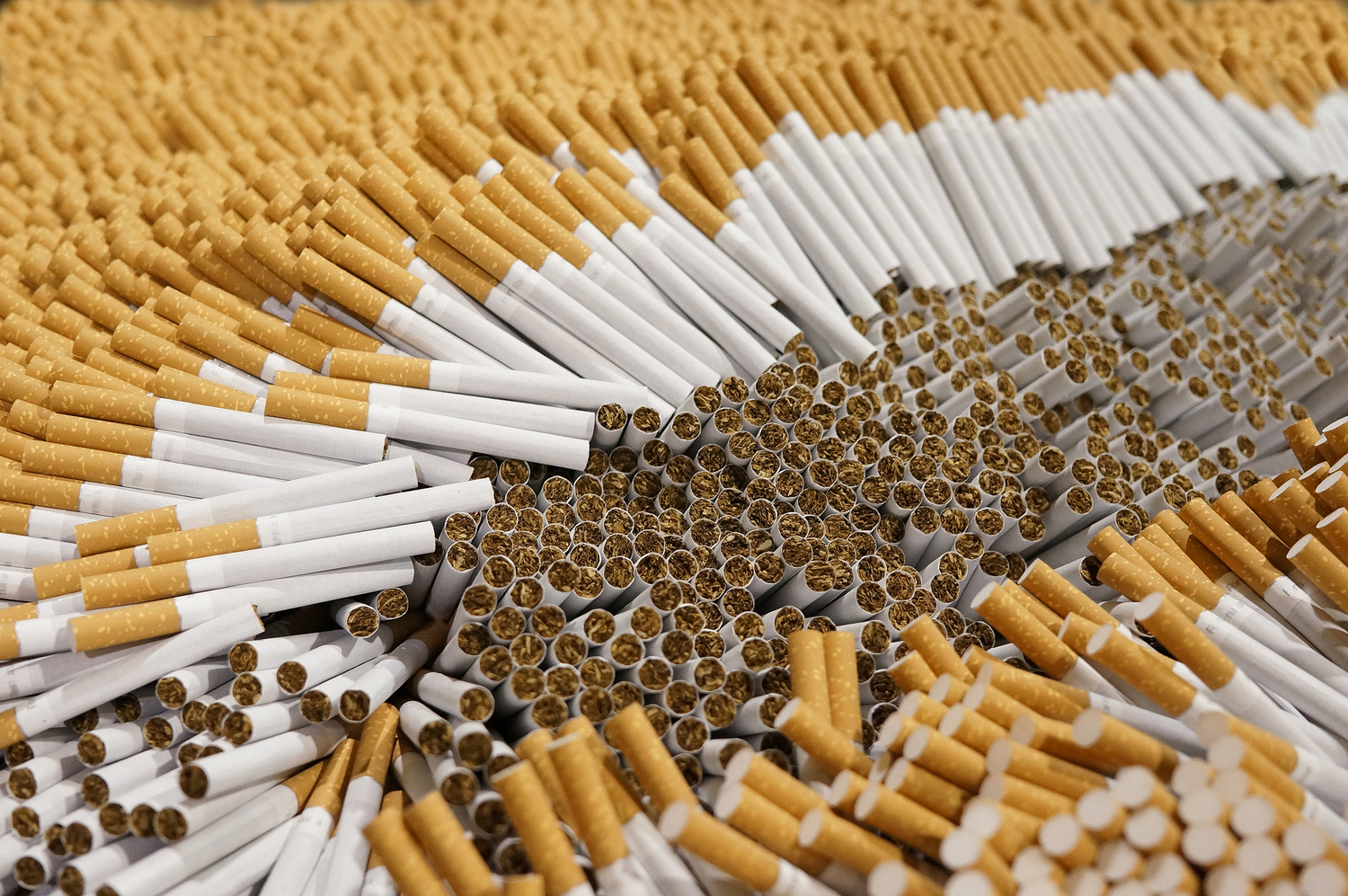 Čeští celníci za 20 let odhalili 47 nelegálních továren na tabákové výrobky