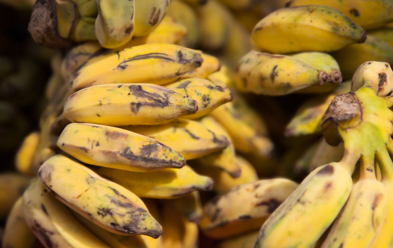 BBC: Farmářky z Malawi mění přezrálé banány na banánové víno