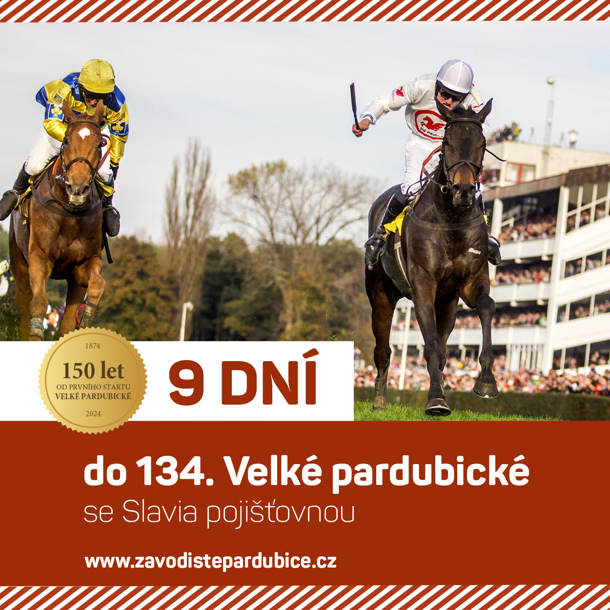 bez popisku 1533001