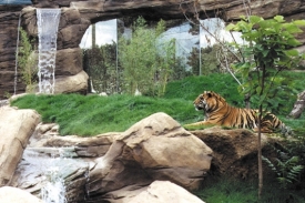 Brněnská zoologická zahrada. Brněnská zoologická zahrada.