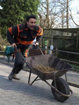 Zoo Děčín: Jarní úklid aneb Kam s tím hnojem.