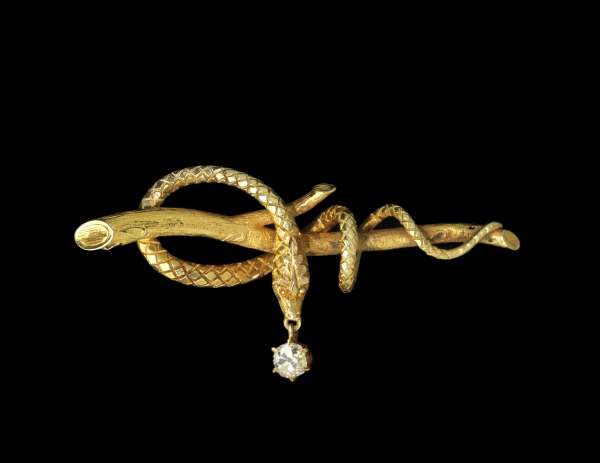 Politicky proslulá brož s hadem.