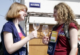 Velké Bílovice jsou jednou z nejvýznamnějších vinařských obcí v Česku. Velké Bílovice jsou jednou z nejvýznamnějších vinařských obcí v Česku.