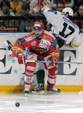 Kadlec právě 