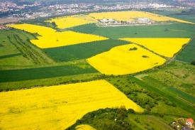 Konkurzní správce pozemky prodal mimo dražbu. Za nižší cenu.