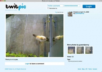 Penny u dv&iacute;řek na čip (Tvitter).