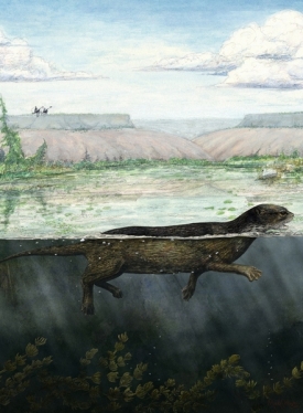 Primitivní ploutvonožec Puijila darwini plave v kráterovém jezírku.