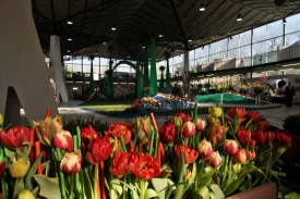 Flora Olomouc.