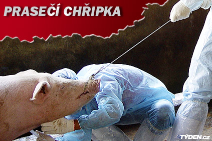 bez popisku 155287