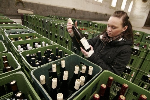 O přízeň degustátorů se letos ucházelo 953 vzorků vín z Česka a ciziny O přízeň degustátorů se letos ucházelo 953 vzorků vín z Česka a ciziny