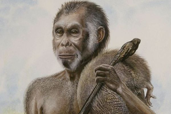 Hobit aneb Homo floresiensis - antropologická senzace století.