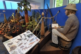 Výstava se podrobně věnuje Darwinově cestě kolem světa.