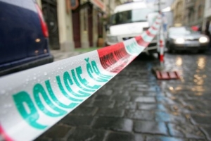 Policisté vyšetřují vraždu dvou malých dětí.
