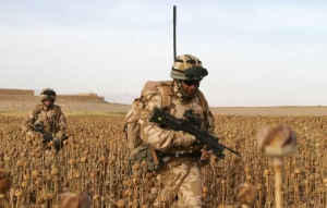 Hlavní výdělek plyne afghánskému Talibanu z makovic.