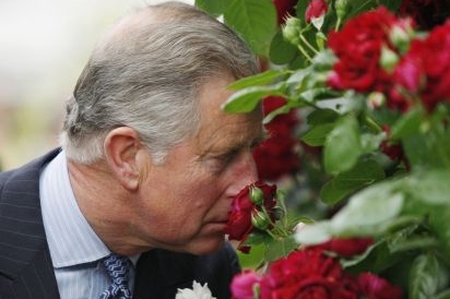 Vášnivý zahrádkář princ Charles dostal Viktoriinu čestnou medaili.