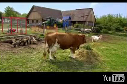 Záběr z předvolebního klipu zelených.