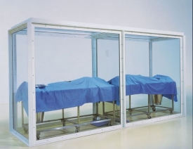 Adam and Eve Exposed / Adam a Eva, vystaveni / 2004