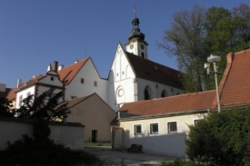 Borovany při&scaron;ly o pam&aacute;tnou l&iacute;pu. Zat&iacute;m nikdo nev&iacute; proč.