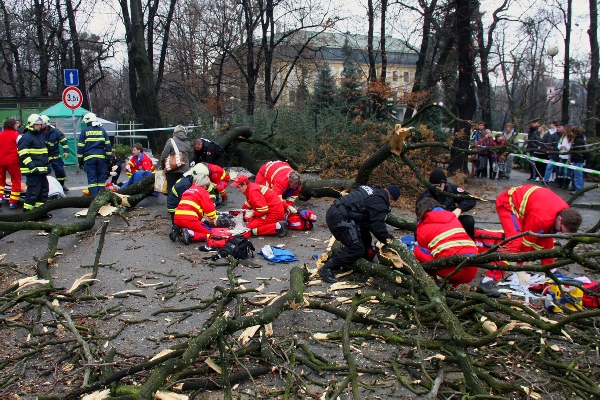Strom zabil dva chlapce.