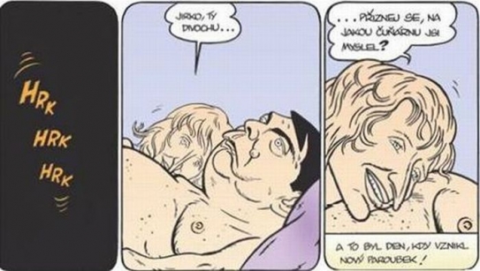 Komiks Zelený Raoul označil Paroubek za sprosťáctví.