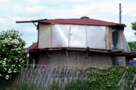 Stavebn&iacute; materi&aacute;l - technick&eacute; konop&iacute; - si majitel domku pěstuje s&aacute;m.