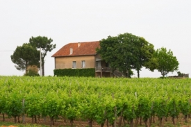 V&iacute;na z Ch&acirc;teau Le Pin jsou vz&aacute;cn&aacute; a velmi drah&aacute;.