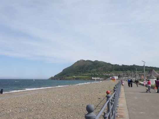 Bray