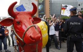 Tisíce zemědělců protestovaly proti výkupním cenám mléka.