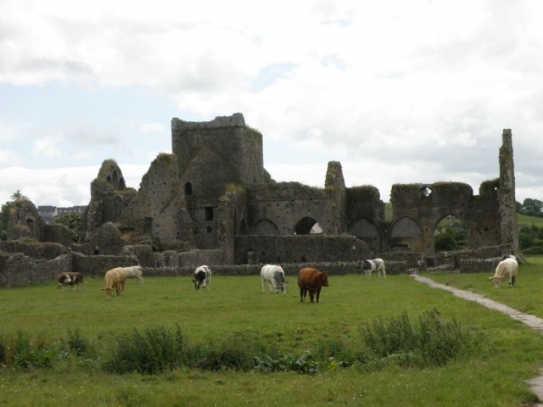 Hore Abbey