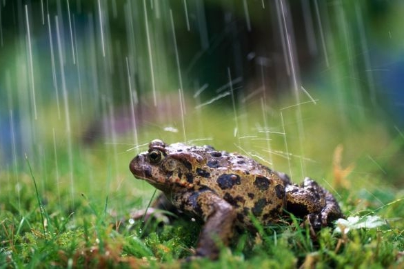 Hydrometeorologové varují před silným deštěm.