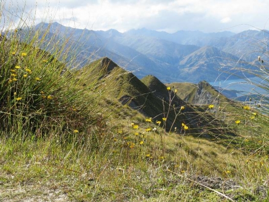 Výhledy do okolí Mt. Roy jsou ohromující.